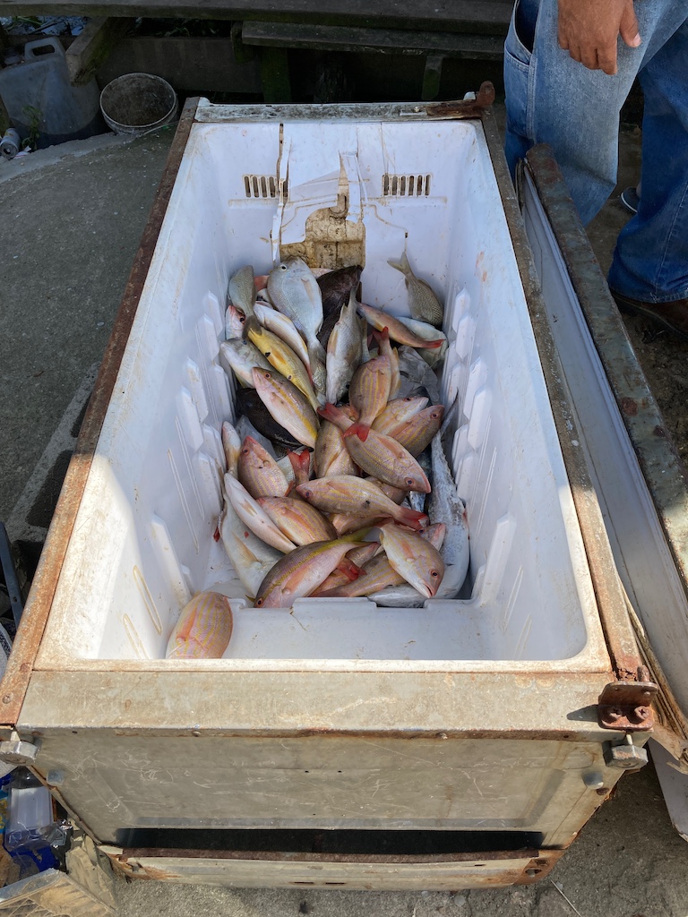 Fangfrischer Fisch ist eine zentrale Zutat, wenn es um Essen und Trinken in Belize geht