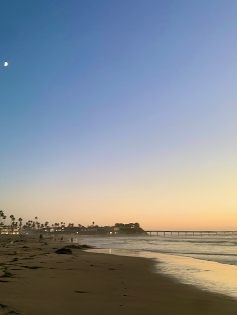 Der Ocean Beach in San Diego