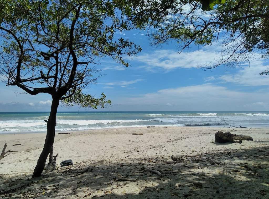 Idyllischer Traumstrand in Santa Teresa, Costa Rica, im Vordergrund ein Schatten spendender Baum, dahinter ein breiter Strand, türkisblaues Wasser und ziemlich perfekte Wellen