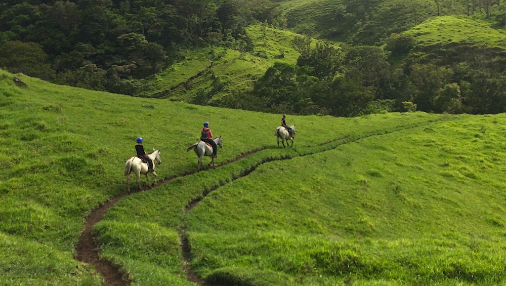 Drei Reiter reiten auf schmalen Pfaden den satt grünen Hügel hinauf.